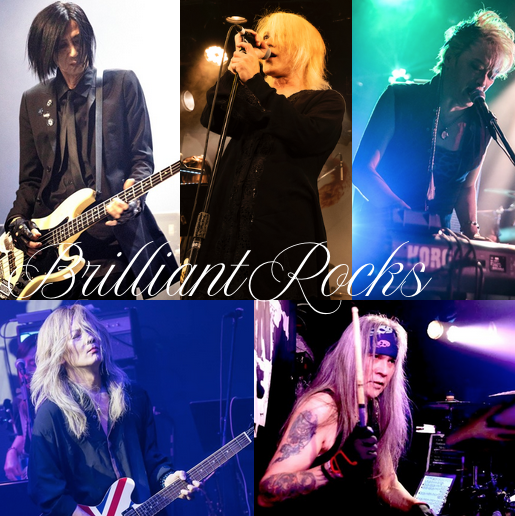 BiS イミテーションセンセーション セット イオンバランスリセットブラシ KBE-2520/W・K｜ブラシアイテム